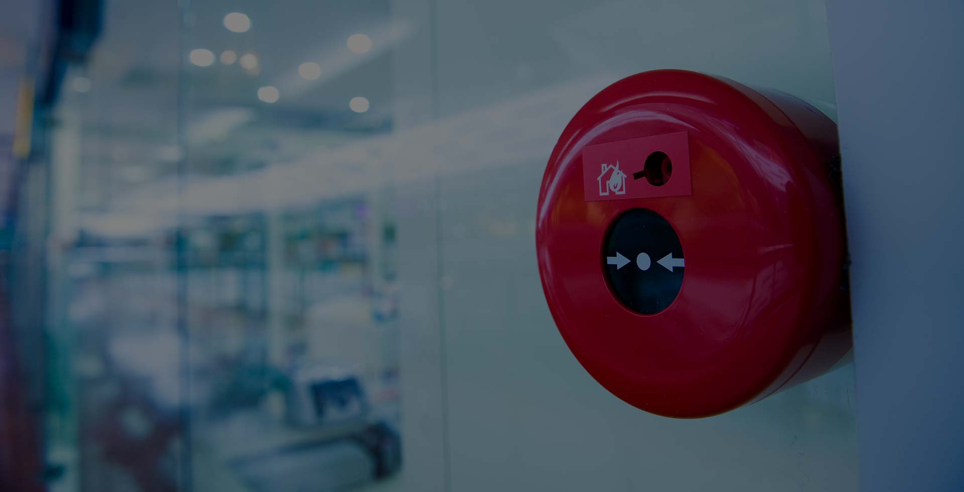 Partner Background LECTRO GmbH